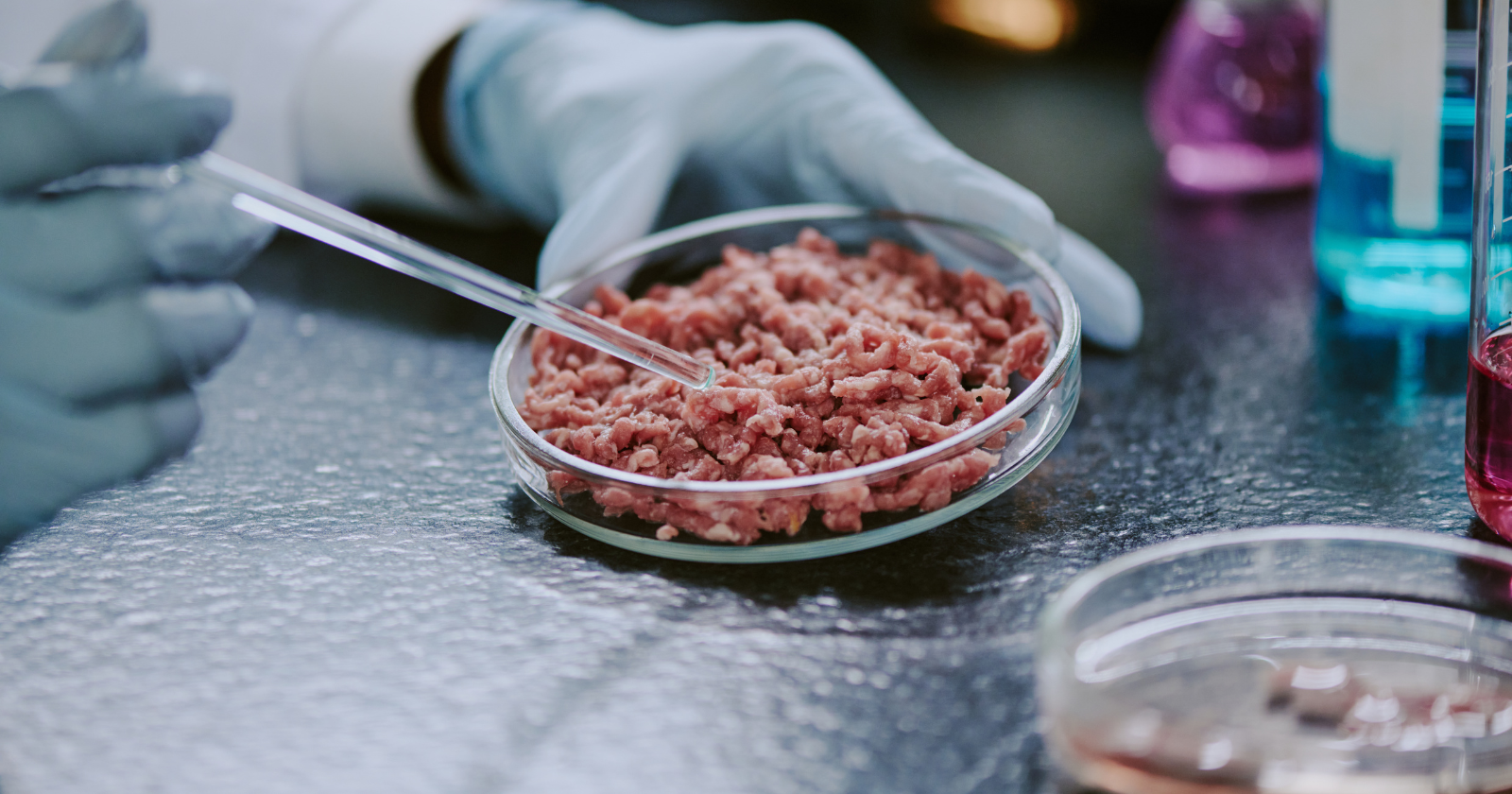 Meat industry-funded studies are 16 times more likely to call meat healthy than independent research — and the part that should worry you isn't the funding, it's what half of those papers failed to disclose