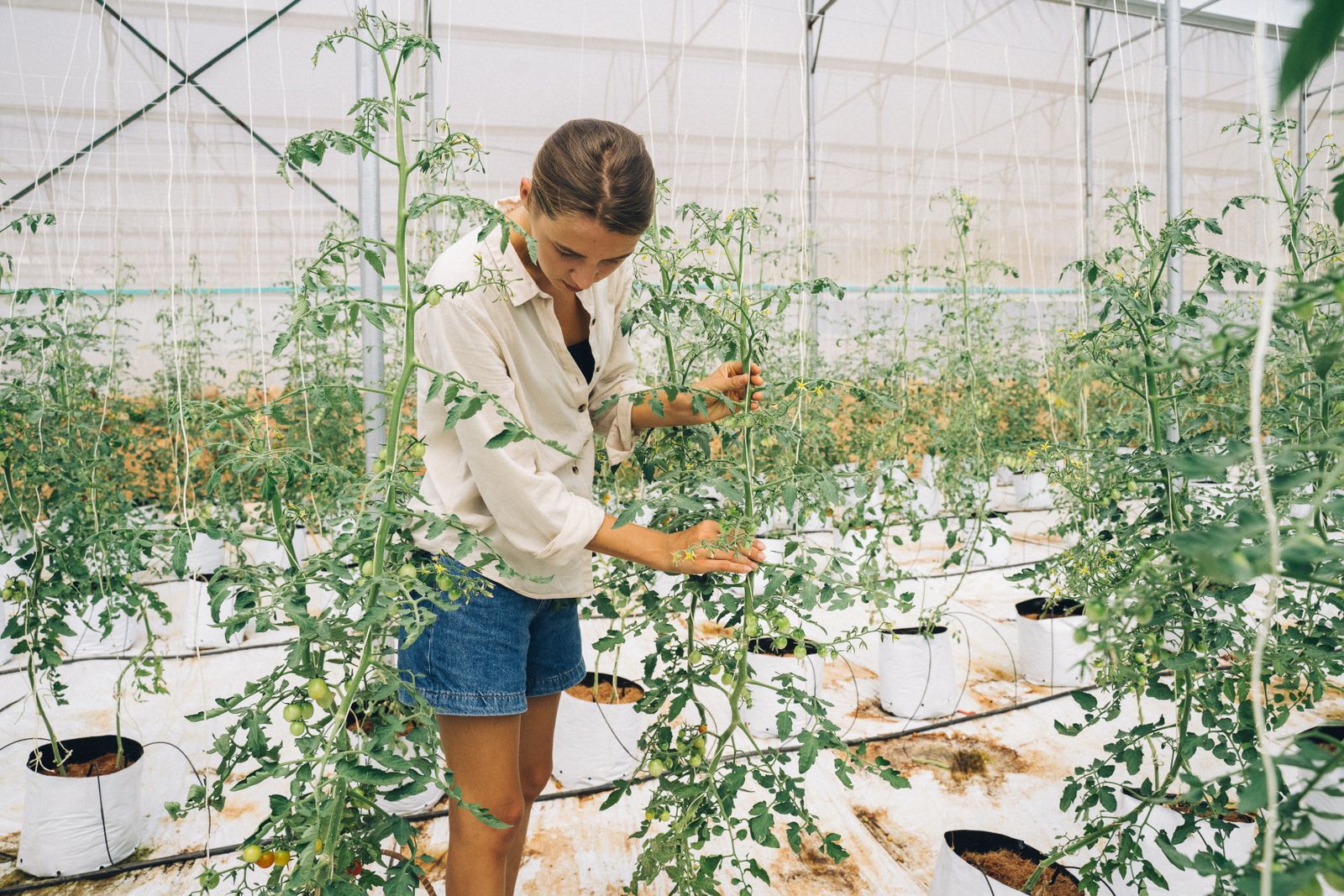 Adults who garden in their seventies aren't passing time