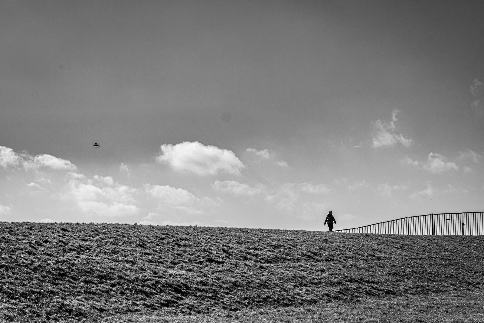 middle aged person walking alone