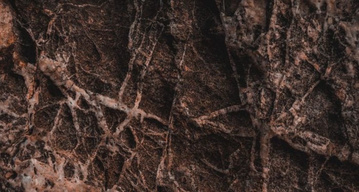 Scientists just mapped 68 quadrillion miles of fungal networks under our feet — and the climate story everyone's been telling about forests is missing where 11% of human emissions actually go