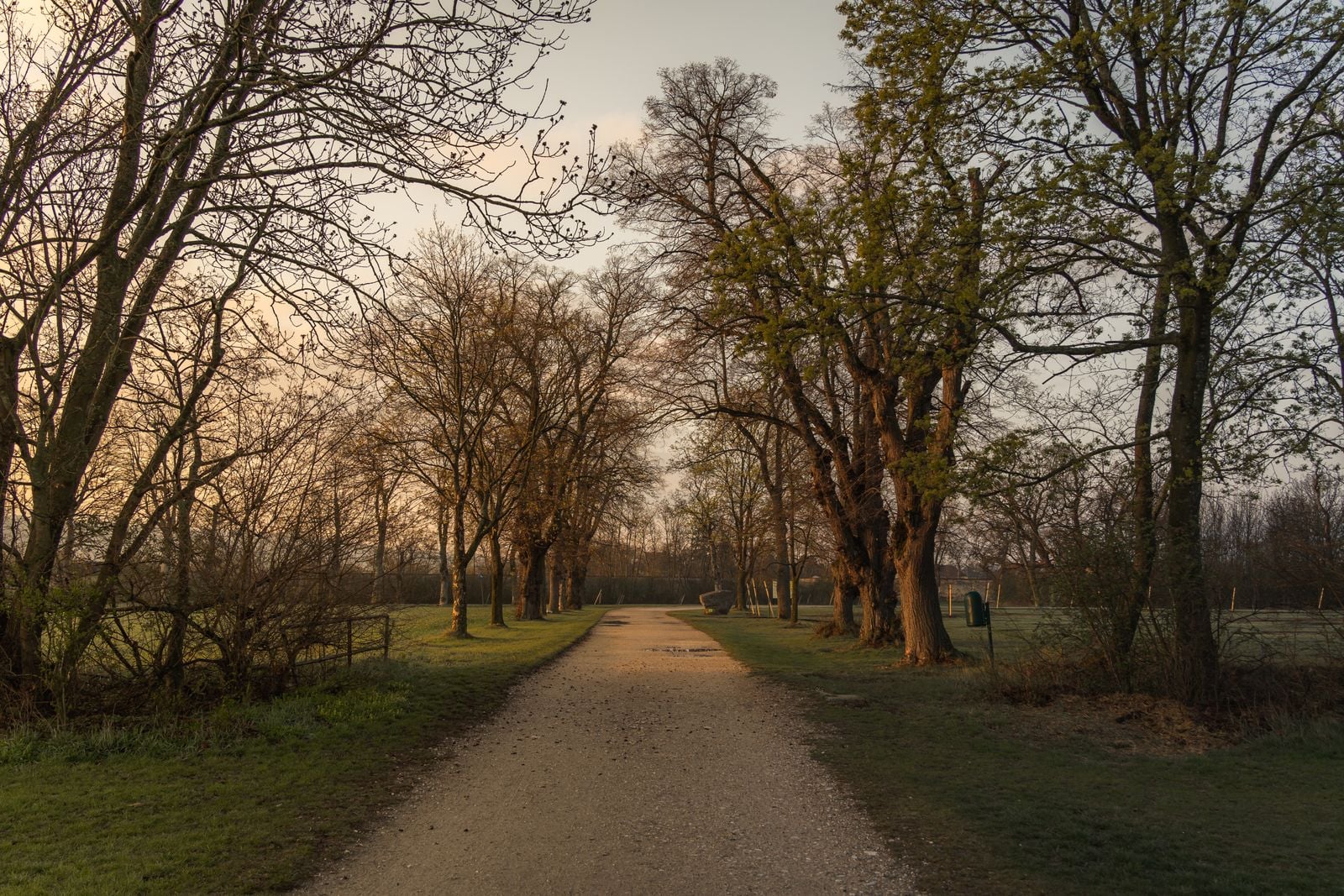 sunrise empty path