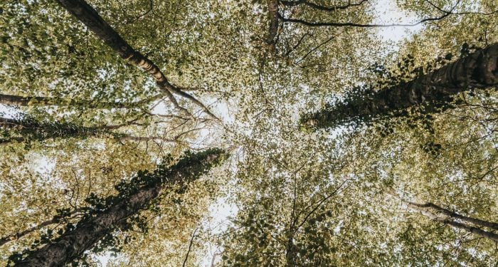 The scientists warning that summer 2026 could push global temperatures within breathing distance of the Paris Agreement's 2°C limit aren't working for NOAA anymore — and that detail matters more than the number itself
