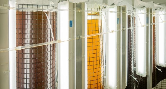 Whey protein prices have doubled in two years and cheese supply can't catch up — which is exactly why the EU just handed Vivici €12.5M to ferment the molecule instead